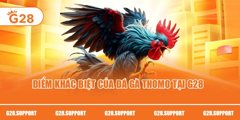 Điểm khác biệt của đá gà Thomo tại G28